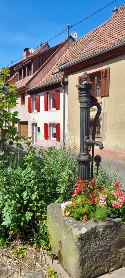 Ville Centre - Gite Le Villois - Au Coeur De L'Alsace Exterior photo